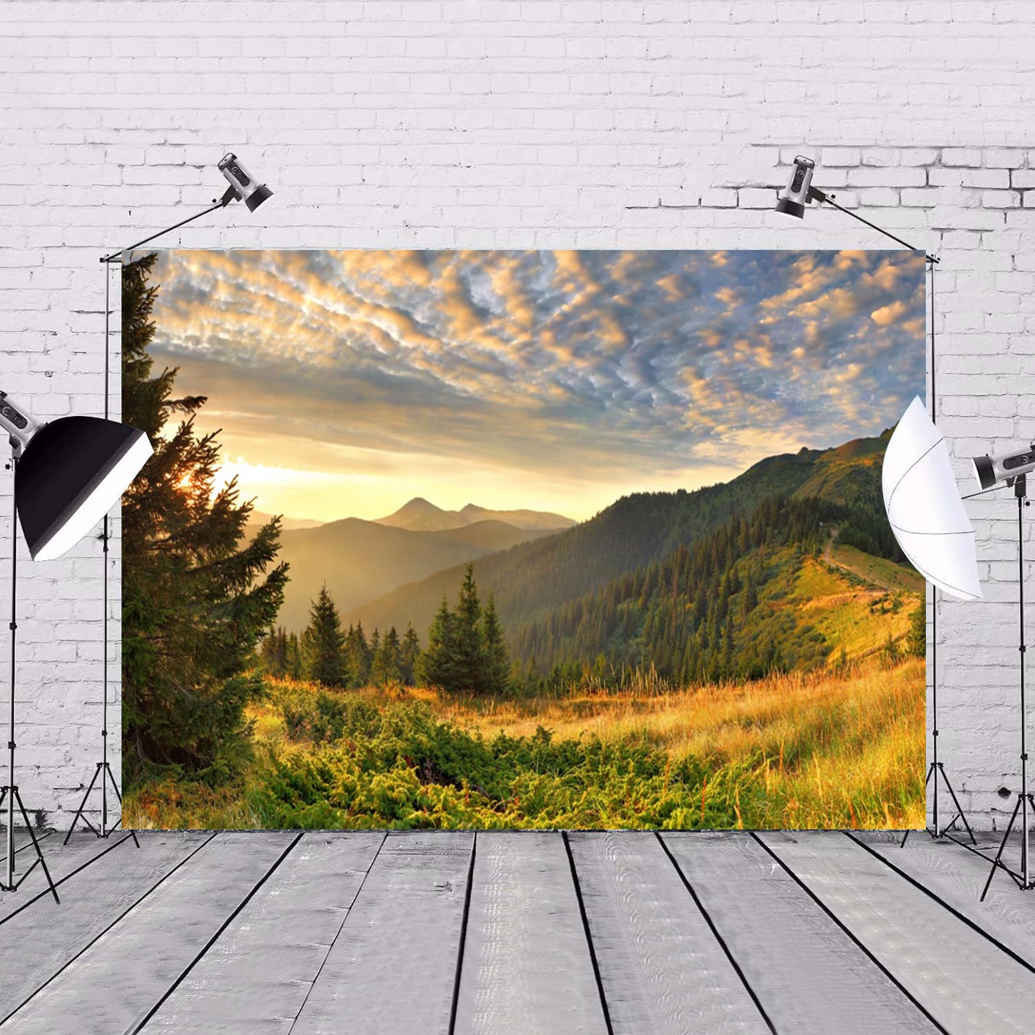 Amazon.com : 10x8ft Mountain Landscape Backdrop Nature Scenery